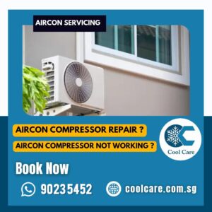 Read more about the article Aircon Compressor repair / Aircon Compressor Not working?