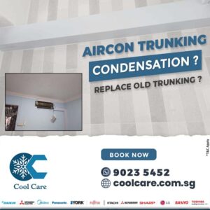 Read more about the article AIRCON TRUNKING : Condensation ? | Replace old trunking ?